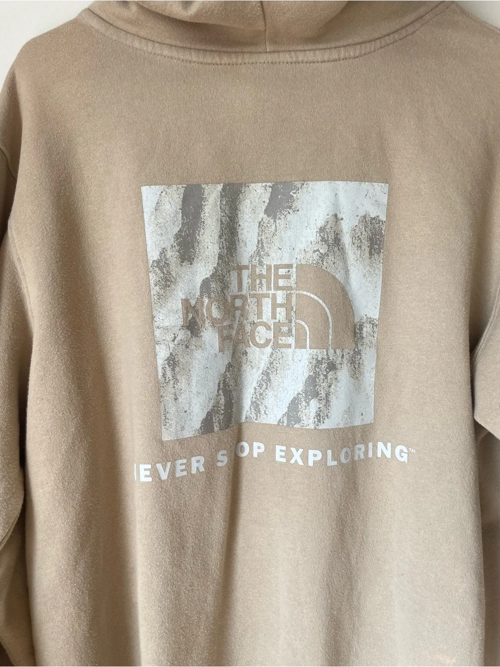 The North Face Men’s Hooded Pullover Sweatshirt - Beige